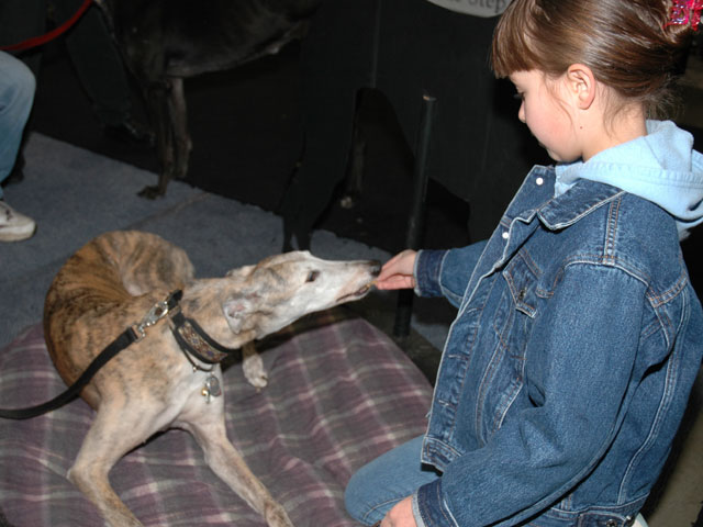 PetExpo2005---Frannie and new friend.jpg (66869 bytes)
