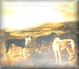 Greyhound Artwork