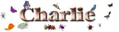 charliebugtitle.jpg (14314 bytes)