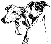 Greyhound Pets Inc logo