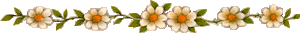 flowerbar2.gif (6432 bytes)